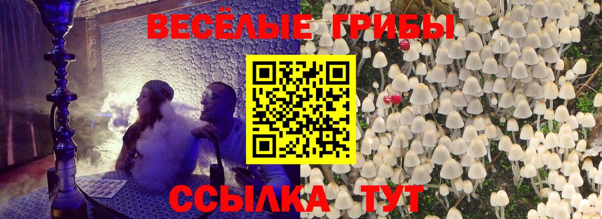 Усть-Джегута  Галлюциногенные грибы GOLDEN TEACHER  Вход с VPN 